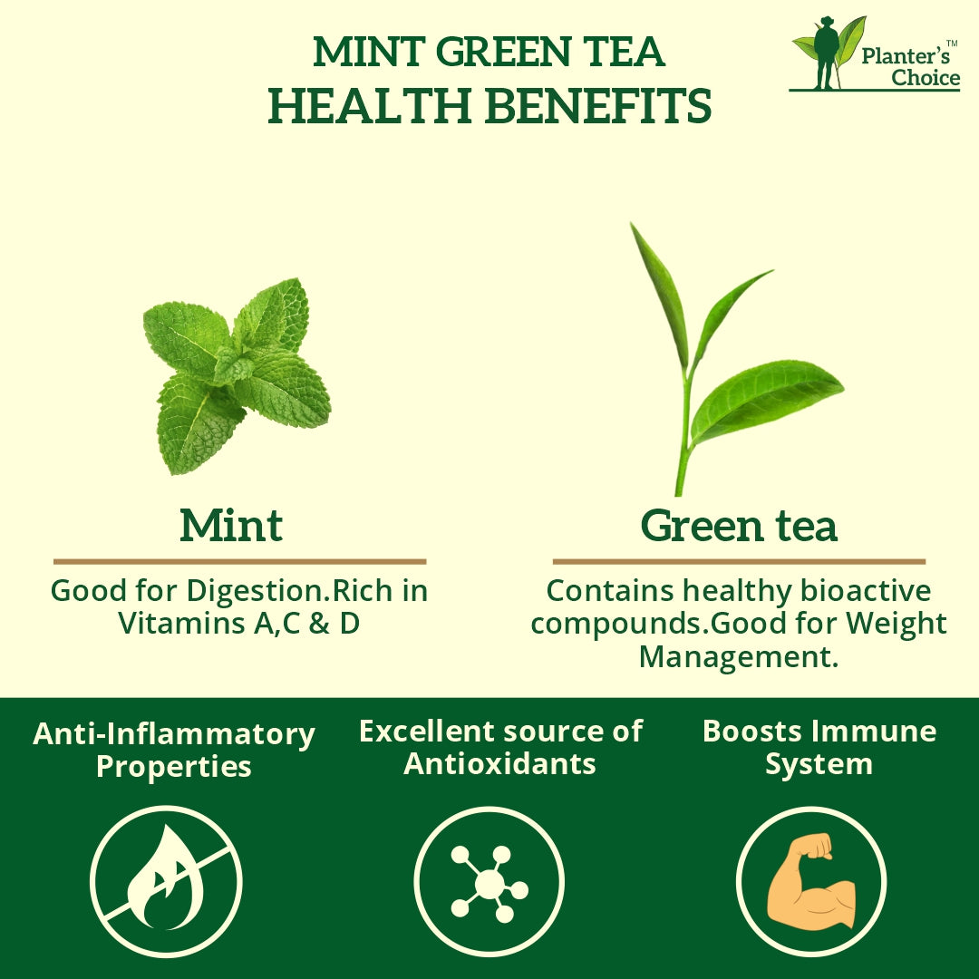 Mint Green Tea, 25 Tea Bags, 50 GMS